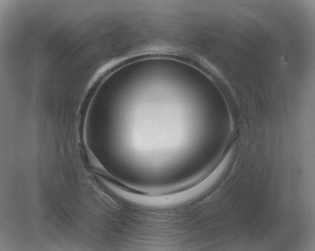 X0000082201222200702021835