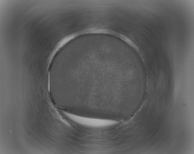 X0000082201223200702021835