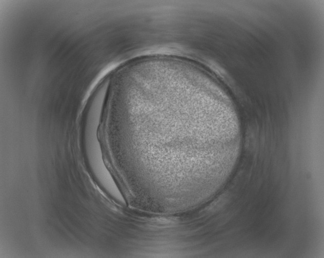 X0000082201224200702021835