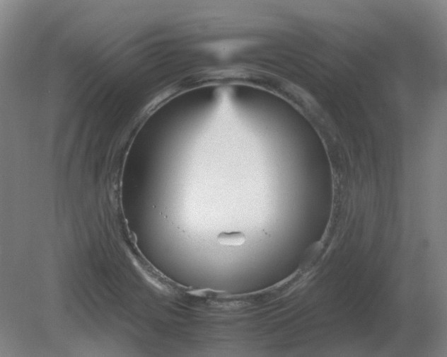 X0000082201225200702021835