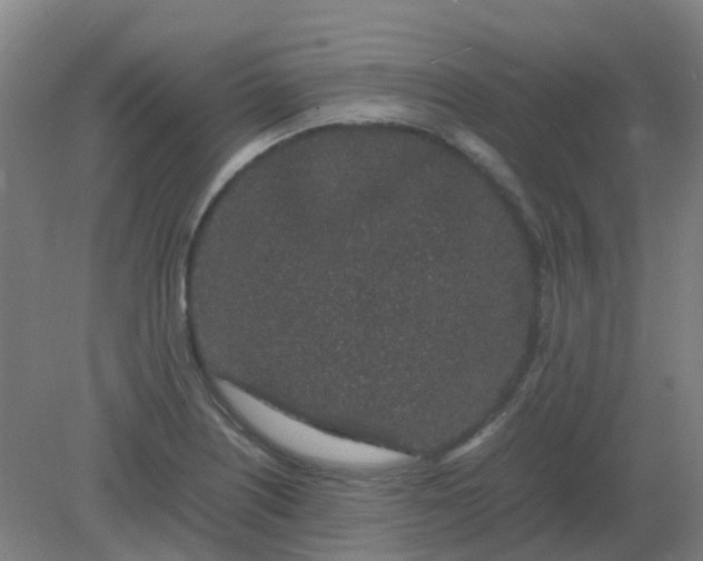 X0000082201226200702021836