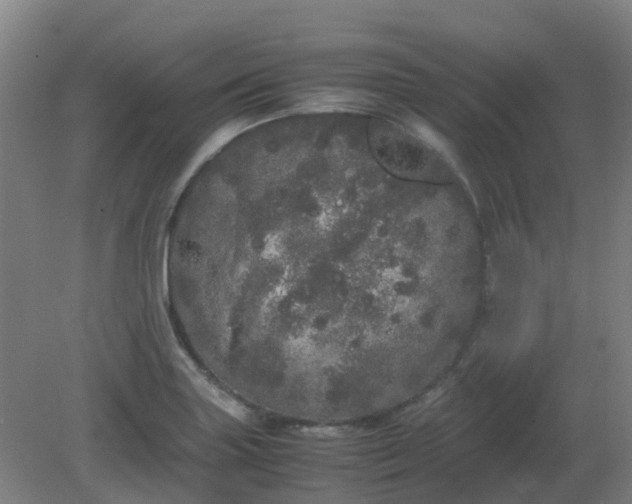 X0000082201227200702021836