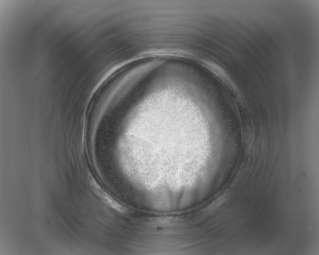 X0000082201228200702021836