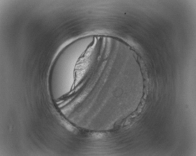 X0000082201230200702021836