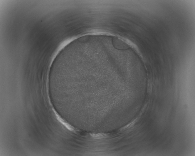 X0000082201231200702021836