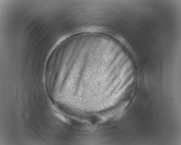 X0000082201232200702021836