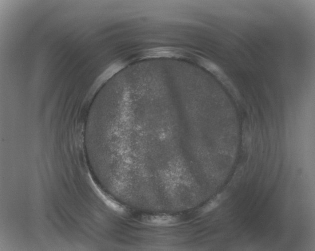 X0000082201233200702021836