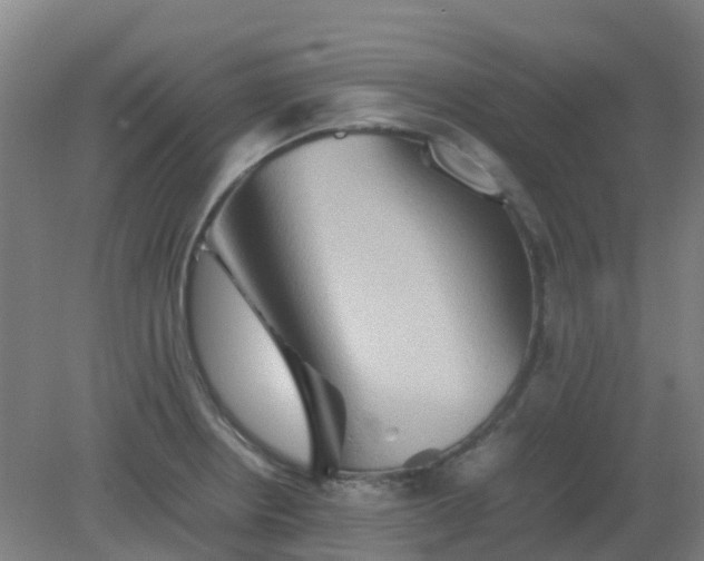 X0000082201234200702021836