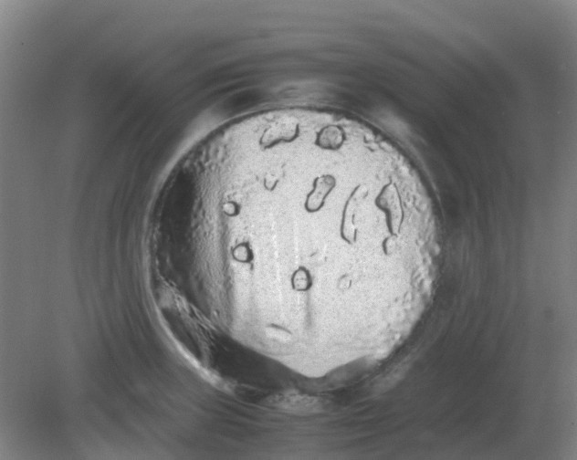 X0000082201235200702021836