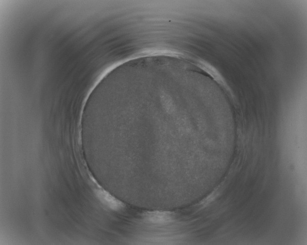 X0000082201236200702021836