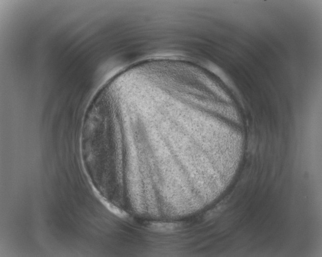 X0000082201237200702021836