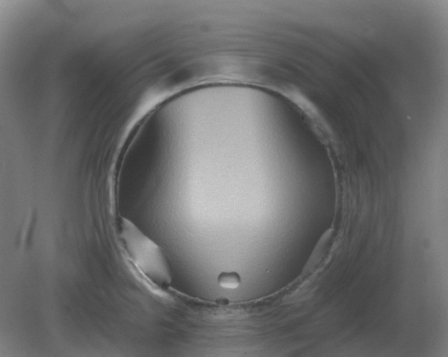 X0000082201238200702021836