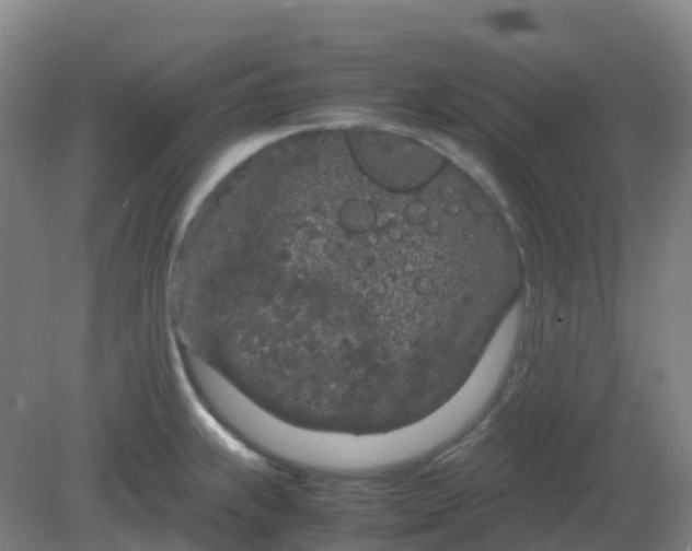 X0000082201239200702021836