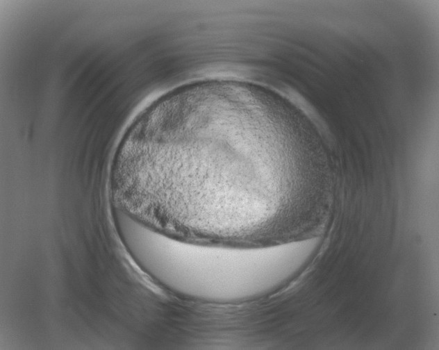 X0000082201240200702021836