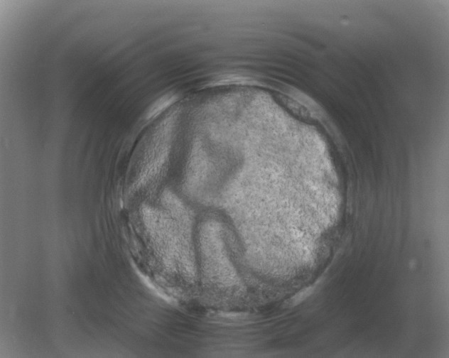 X0000082201241200702021836