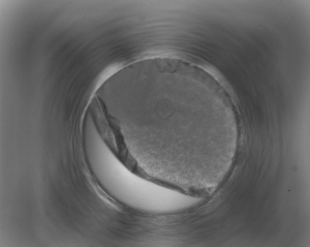 X0000082201242200702021836