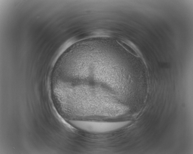 X0000082201243200702021836