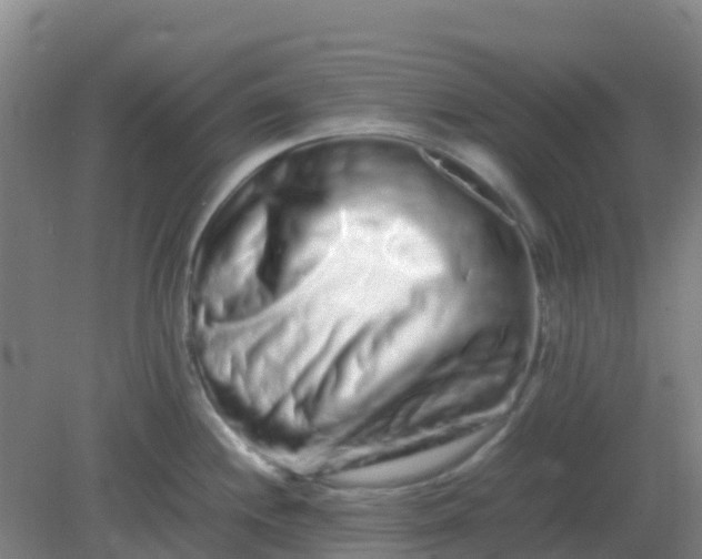 X0000082201244200702021836