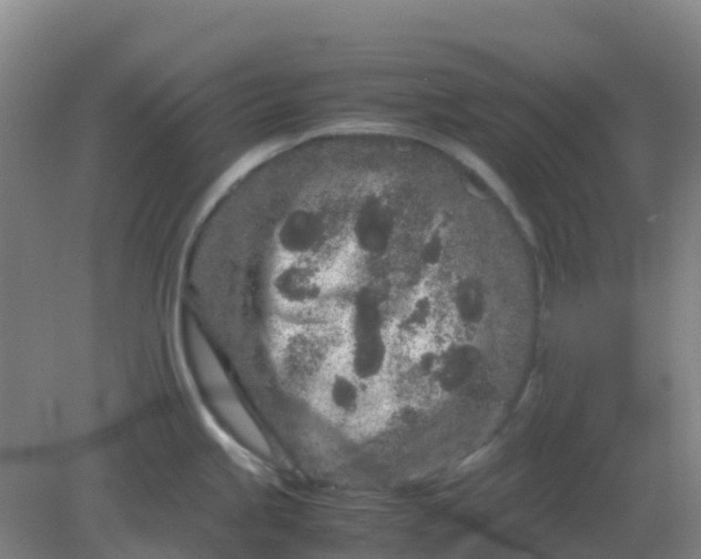 X0000082201245200702021836