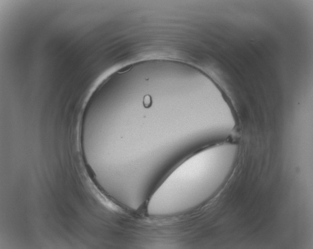 X0000082201246200702021836