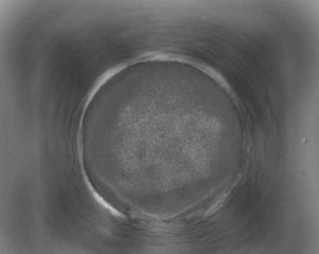 X0000082201247200702021836