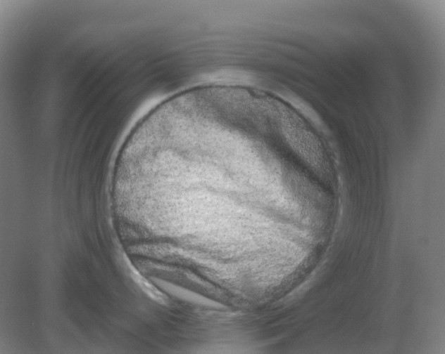 X0000082201248200702021836