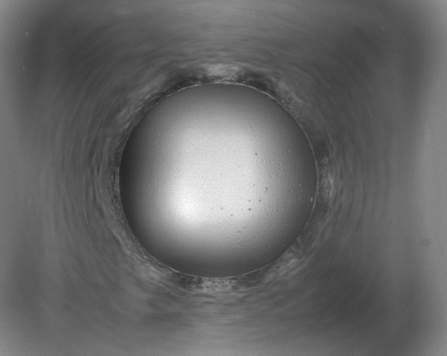 X0000082201249200702021835