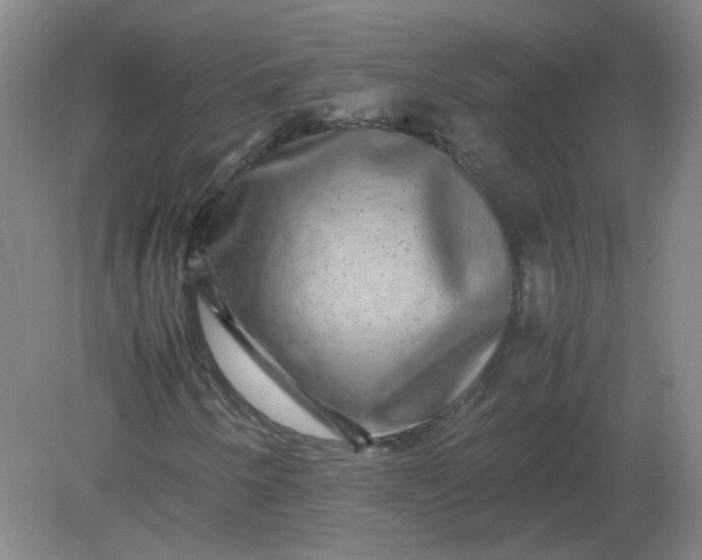 X0000082201250200702021835