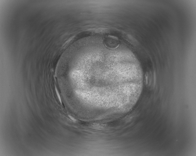 X0000082201251200702021835