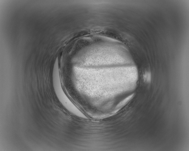 X0000082201252200702021835