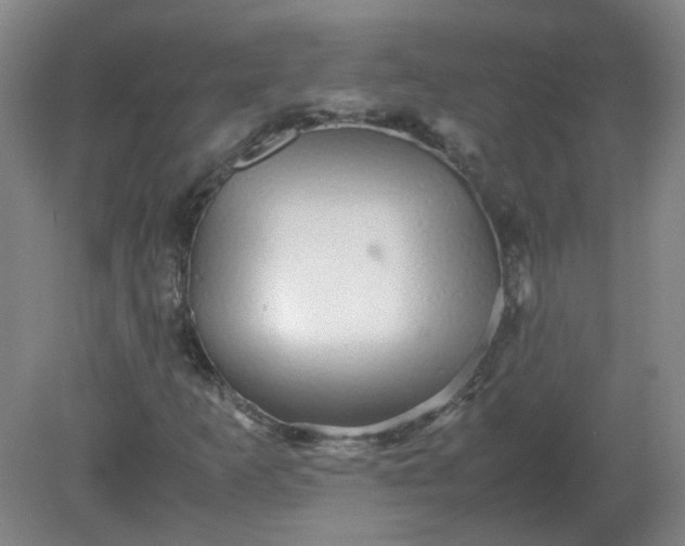 X0000082201253200702021835