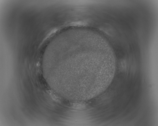 X0000082201254200702021835