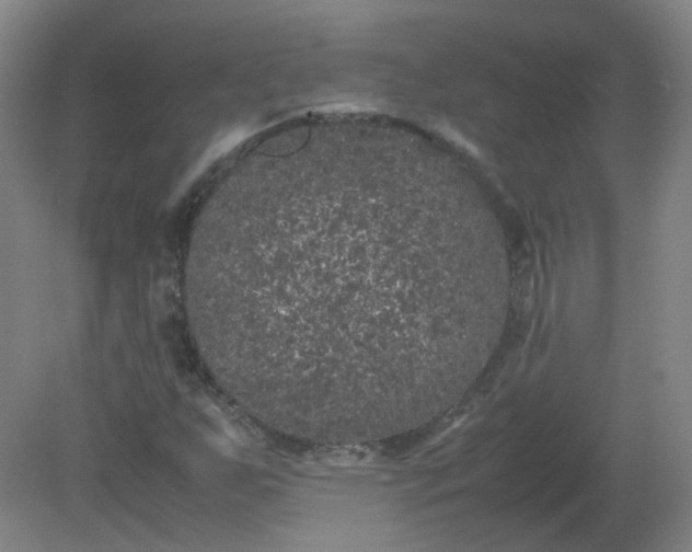 X0000082201255200702021835