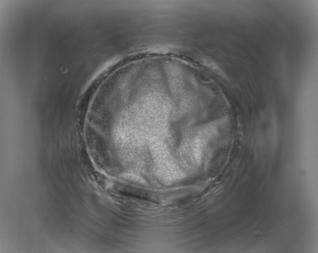 X0000082201256200702021835