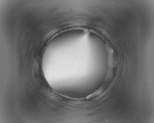 X0000082201257200702021835