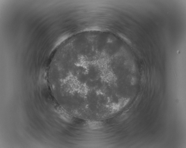 X0000082201258200702021835