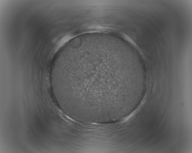 X0000082201259200702021835