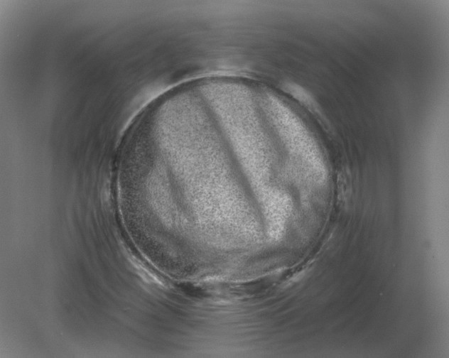 X0000082201260200702021835