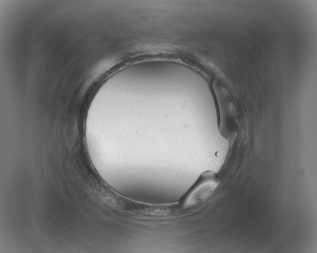 X0000082201261200702021835