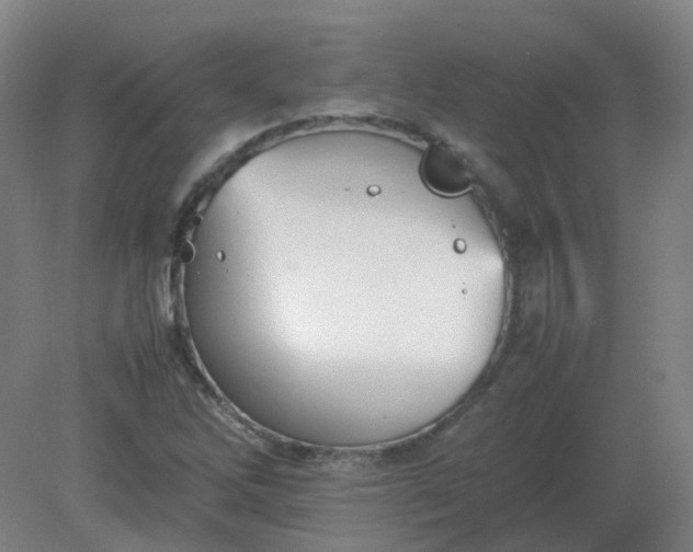 X0000082201262200702021835