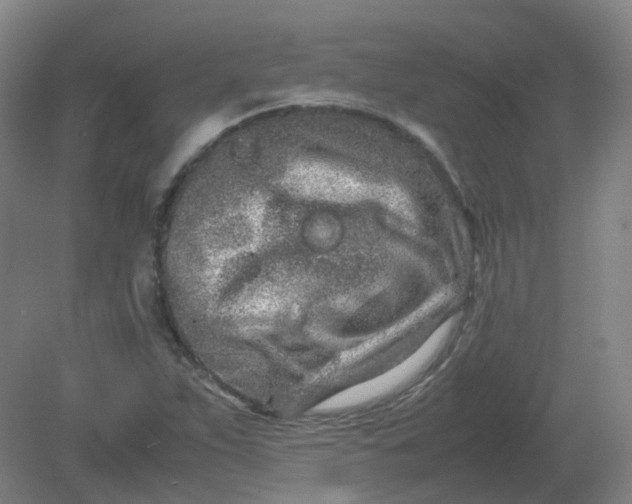 X0000082201263200702021835