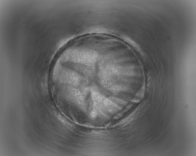 X0000082201264200702021835