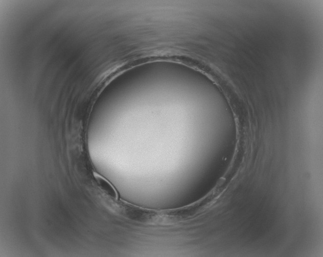 X0000082201265200702021835