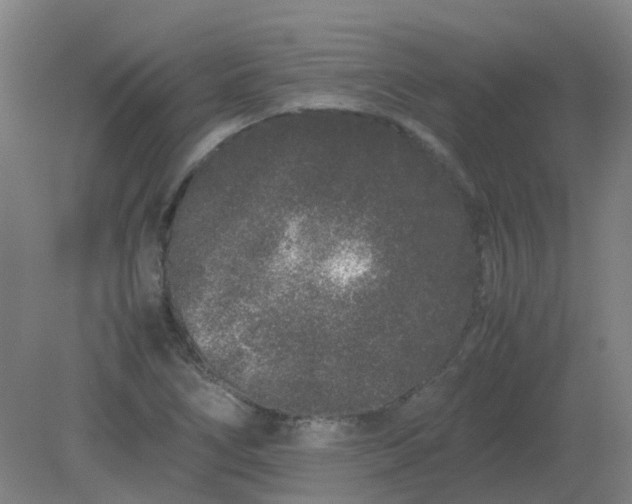 X0000082201266200702021835