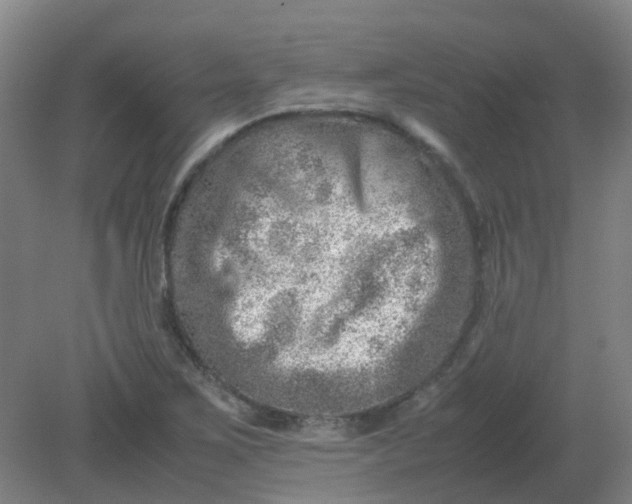 X0000082201267200702021835