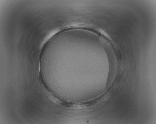 X0000082201269200702021835