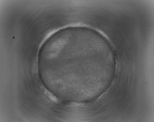 X0000082201270200702021835