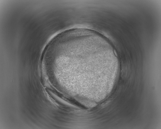 X0000082201272200702021835