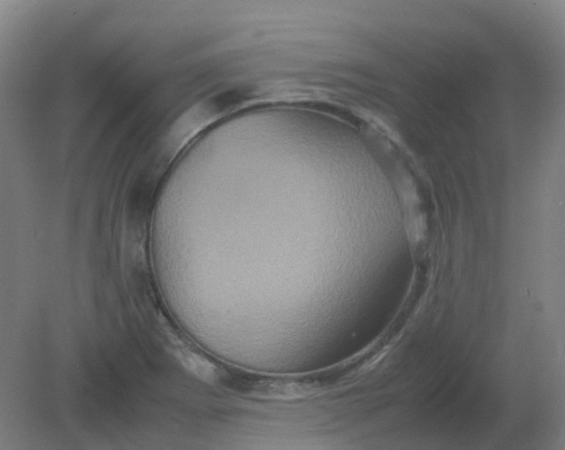 X0000082201273200702021835