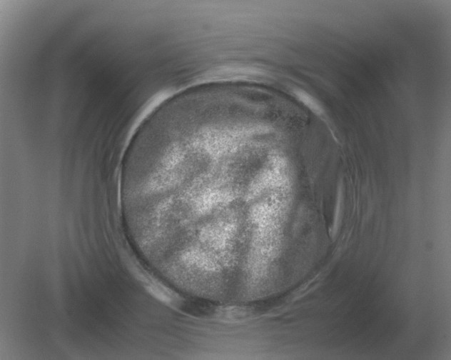 X0000082201275200702021835